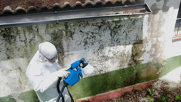 Top rated local Hvac And Air Duct Mold Remediation specialists in Richmond, MI